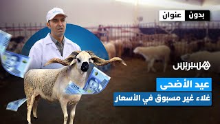 بدون عنوان: غلاء في الأسواق… عيد الأضحى في كفة الميزان thumbnail