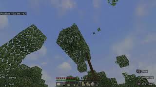 First time playing Minecraft on survival