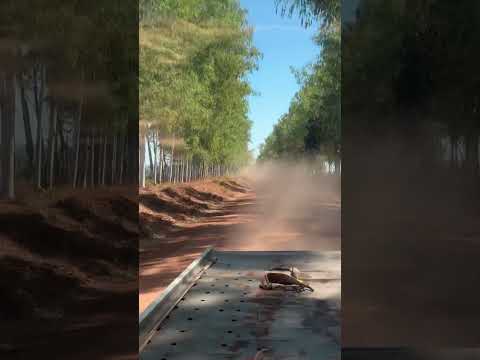 Linda passagem dessa estrada Prox a Castanheiras RO
