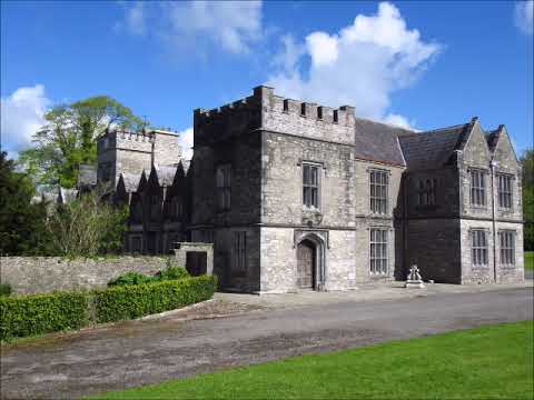 Mallow Castle & White Fallow Deer ~ Cork Ireland