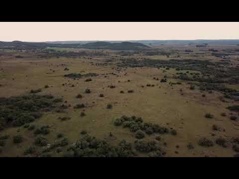 Video de YouTube - Campo en Lavalleja ref. 8518