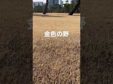 テストph土壌草秋