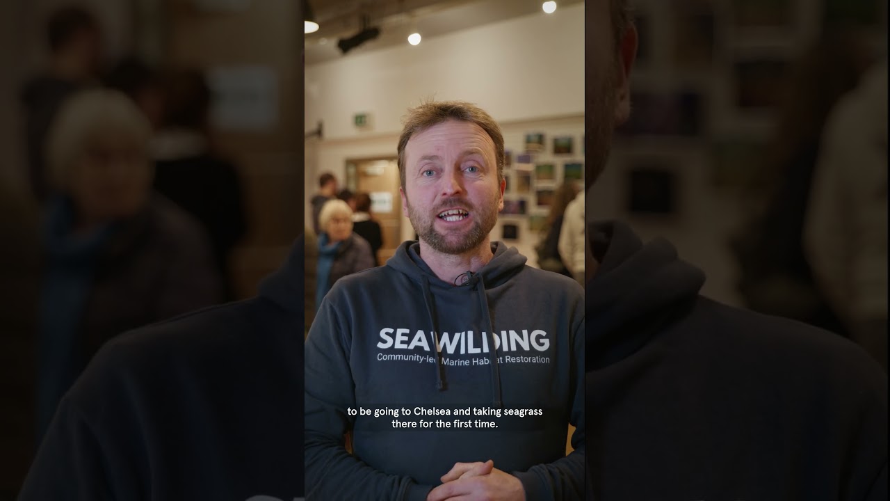 Introducing Seawilding | Project Giving Back