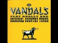 The Vandals - Long Hair Queer 