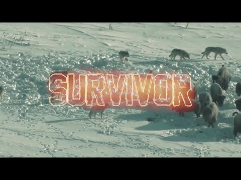 OT The Real - Survivor Ft. Sonny "The Bronco" Conto [Official Video]