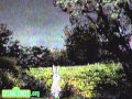 Sesame Street Spring Symphony In The Meadow