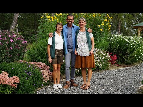 Lehrwerkstatt Natur, Sonntag 04.11.2018