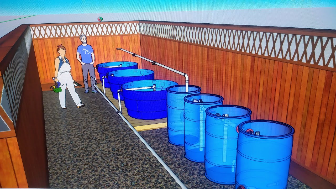 Sisteminha com caixas de mil litros TOP!😎 Todo segredo revelado.🐟🐠🦐