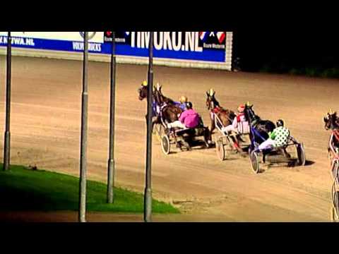 Rabbit Wins Horse Race by a Hare – Straight from the Horse's Heart