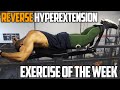 Build MASSIVE Glutes - Reverse Hyper Extension | Exercise Of The Week
