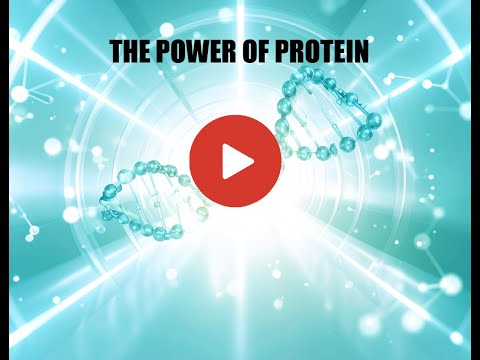The Power of Protein for a Longer Life