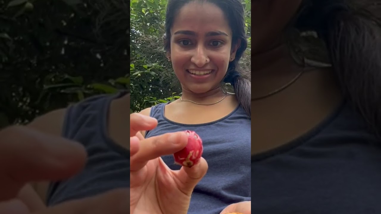 Nutmeg an ancient psychoactive spice😵‍💫