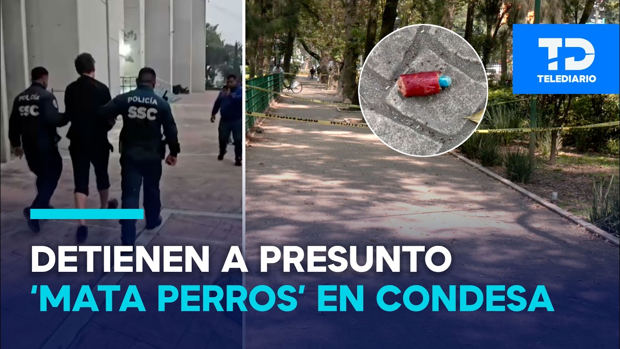 Detienen a presunto 'mata perros' en la Condesa por colocar veneno en el Parque España