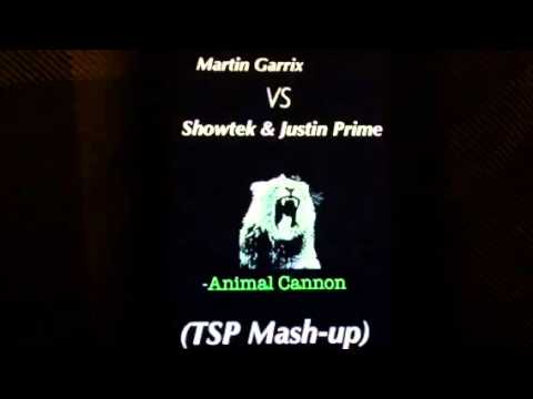 Animal Cannon - Martin Garrix VS Showtek & Justin Prime (TS