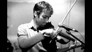 andrew bird - skin is, my