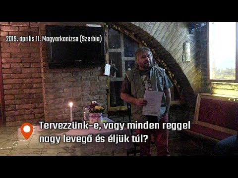 szervrendszerek minden laposféreg parazitában)