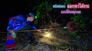 ออกหาไต้กบ หลังฝนตกหนักอีกรอบ แบบนี้จับสนุกเลย/บ้านนาพาสุข EP.454