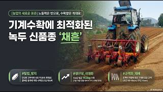 [농사정보] 녹두_신품종 '채흔' 소개 및 재배법