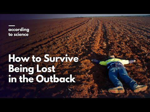 How to Survive Being Stranded in the Outback, According to Science