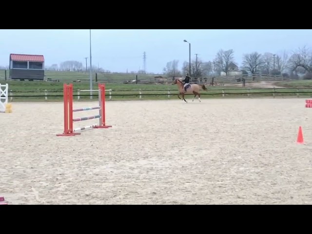 Recherche apprentissage TP RPMS