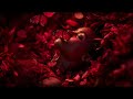 XRISTXAN Like A Fever Melodic AfroHouse