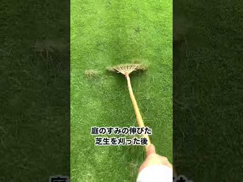 春に芝生を怖がらせるときに損傷を避けるために何をすべきか、あるいはすべきでないか？  庭園