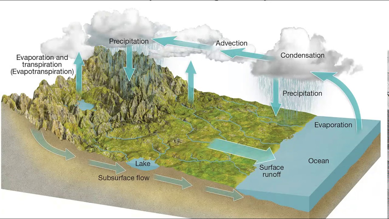 Hydrologic Cycle