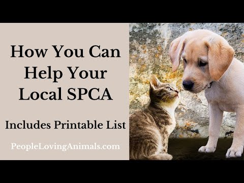 How You Can Help Your Local SPCA - Includes Printable List [Please Share!]