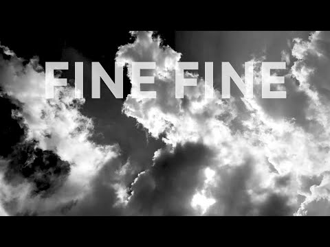 FINE FINE