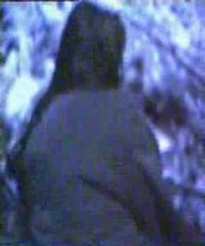 Blutrausch im Stadtwald