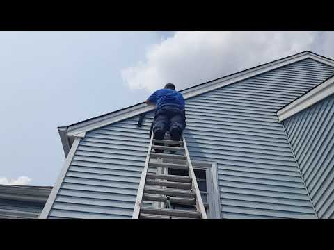 Carpenter Bee Exclusion in Freehold, NJ