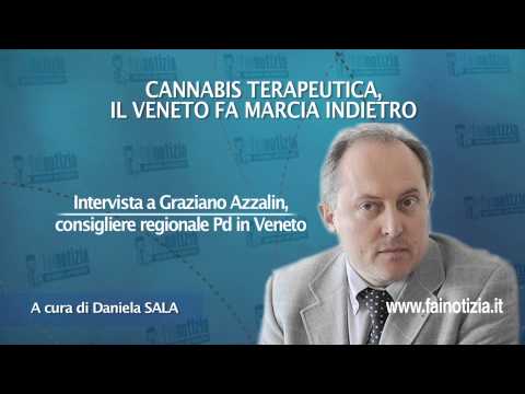 Cannabis terapeutica in Veneto. Intervista a Graziano Azzalin