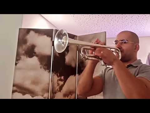 «KAVALINSKI MODEL» Breslmair mouthpiece RECOMMENDATION from Marco Silva • TOMASI Trumpet Concerto