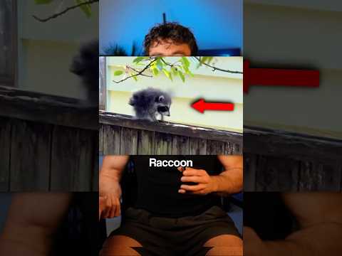 Jimothy is Himothy 😭🙏