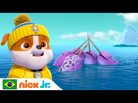 Capa de Patrulha Canina | A Patrulha Marítima salva um narval! | Nick Jr. em Português
