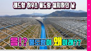 레드향 하우스 물도랑 설치하던 날