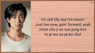 Download lagu RM Still Life (with Anderson .Paak) Easy Lyrics mp3