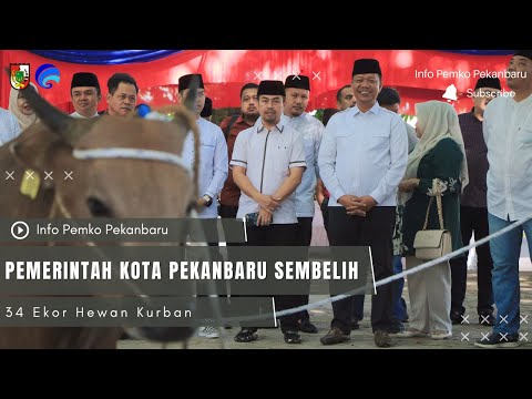 Pemerintah Kota Pekanbaru Sembelih 34 Ekor Hewan Kurban
