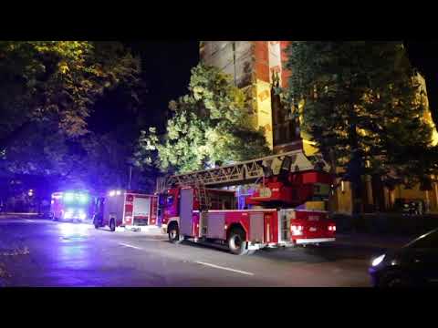 "Niepożądani goście" na rusztowaniu remontowanego kościoła w Olsztynie