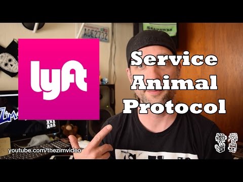 My rideshare experience pt. 9 - Service animal protocol