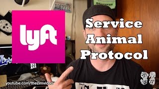 My rideshare experience pt. 9 - Service animal protocol
