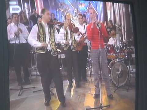 ГЪМЗАТА И ЦИГУЛАР