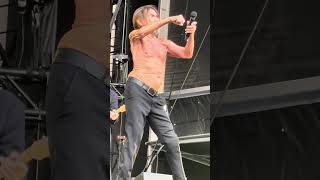 👕⚡ Iggy Pop strikes again – raw, wild, unforgettable and always one step ahead of time #IggyPop