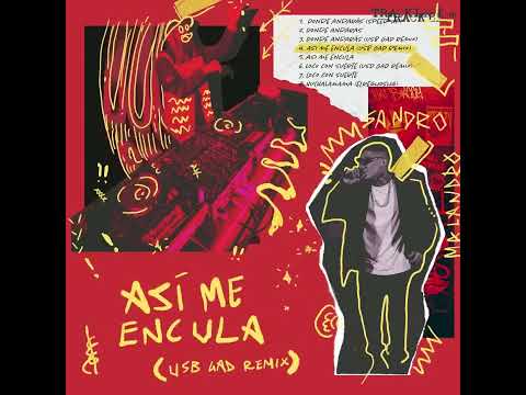 Así Me Encula [USB GAD REMIX] (Visualizer) - Sandro Malandro