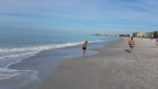 Shelling at low tide