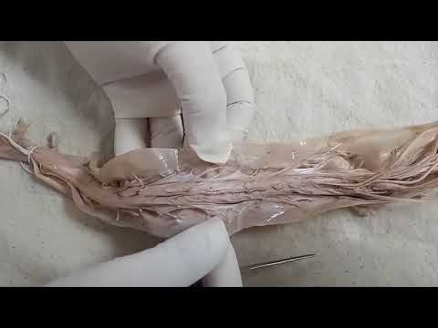 NEUROANATOMY - SPINAL CORD EXTERNAL FEATURES - BY DR MITESH DAVE