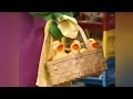 Barney Song Five Little Ducks Twice Is Nice