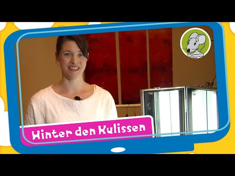 Hallo Benjamin! Hinter der Kulisse - Tipps für den Auftritt vor der Kamera und anderswo
