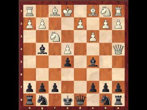 Pulvermacher vs Capablanca King's Gambit Declined 1908, NY 0-1