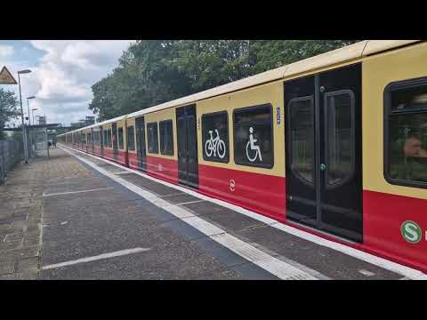 Ausfahrt der S5 nach Strausberg Nord BR 481/482 Mod in Biesdorf